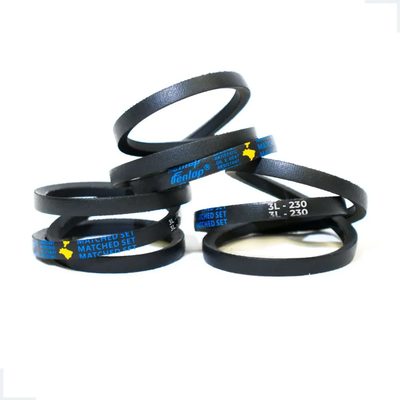 Correia P/ Tanquinho Newmaq 10 kg