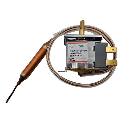 termostato springer Duo Gw42303048 7500-10000